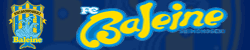 FC Baleine Shimonoseki